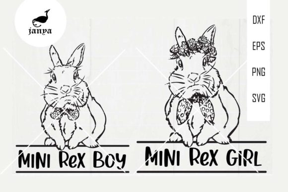 Mini Rex Rabbits: A Designer’s Real-World Embroidery Review